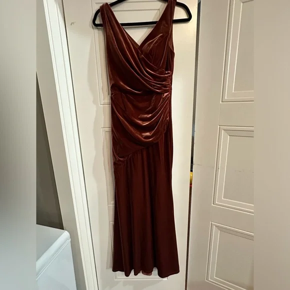 REVELRY DAWSON VELVET. TERRACOTTA. Size 4 Petite. Worn once. - Picture 2 of 3